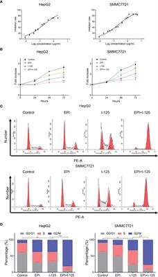 Epirubicin Enhances the Anti-Cancer Effects of Radioactive 125I Seeds in Hepatocellular Carcinoma via Downregulation of the JAK/STAT1 Pathway